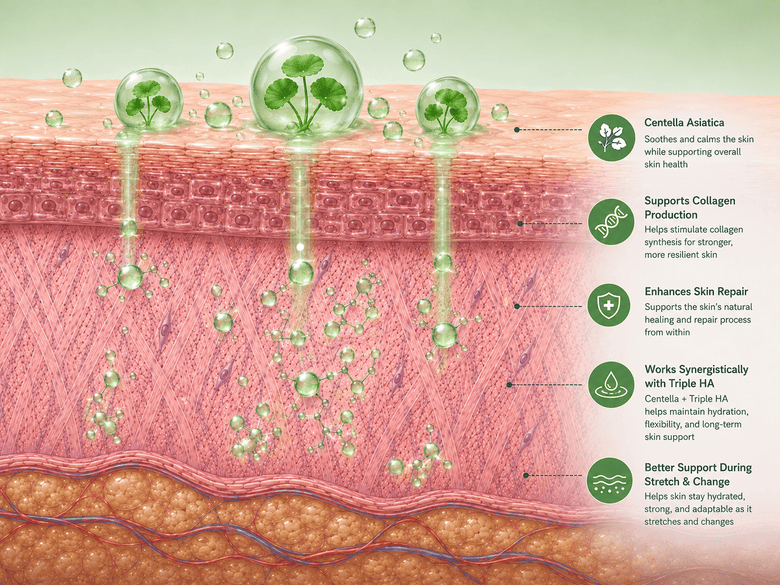 5: Centella Supports Skin From Within
